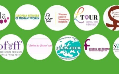GPA : associations féministes contre l’avis du Comité de bioéthique Belge